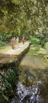 P17.jpg