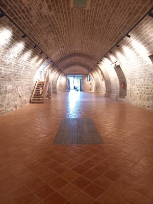 P7.jpg